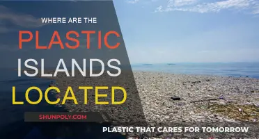 The Plastic Islands: Locations and Impact