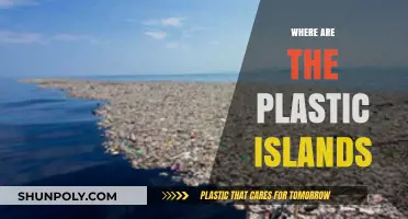 Exploring the Ocean's Plastic Islands: A Journey into Marine Pollution