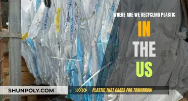 Recycling Revolution: US Plastic Recycling Destinations