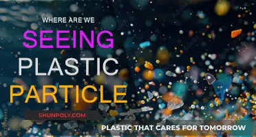 Plastic Particles: They're Everywhere
