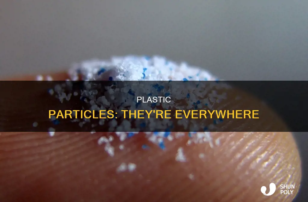 where are we seeing plastic particles