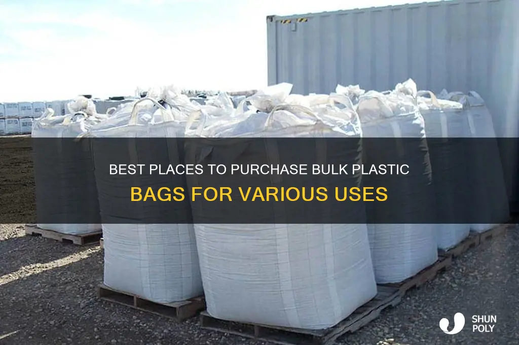 where can i buy a bunch of plastic bags