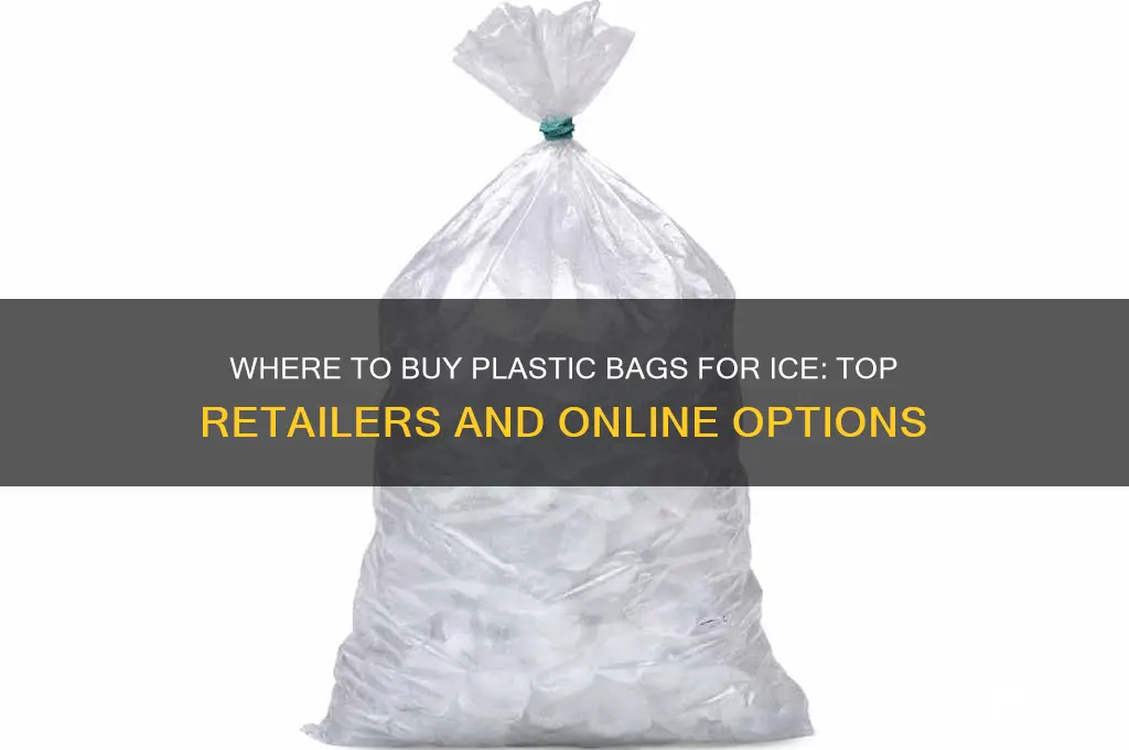 where can i buy plastic bags for ice
