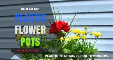 Where to Find Affordable and Stylish Plastic Flower Pots