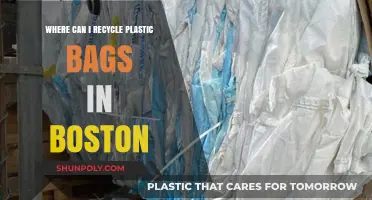 Boston's Plastic Bag Recycling: Locations and Eco-Friendly Disposal Tips
