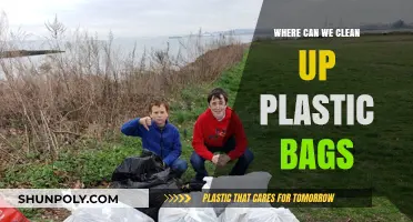 Eco-Friendly Solutions: Where to Clean Up Plastic Bags Effectively