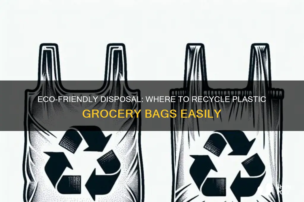 where can you recycle plastic grocery bags
