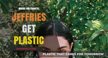 Chantel Jeffries' Plastic Surgery: Unveiling Her Transformation Journey