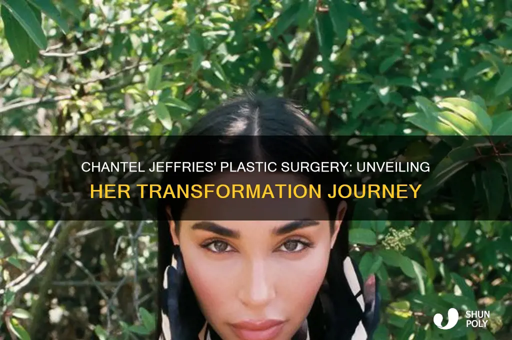 where did chantel jeffries get plastic