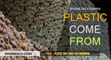 The Evolution of Foaming Plastic: A Historical Perspective