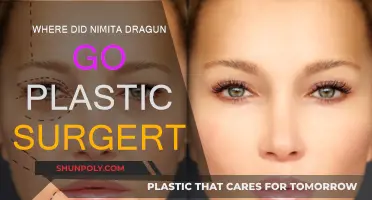 Plastic Surgery: Nikita Dragun's Transformation