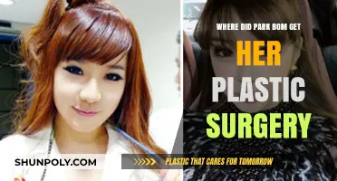 Park Bom's Transformation: Unveiling Her Plastic Surgery Journey and Clinics