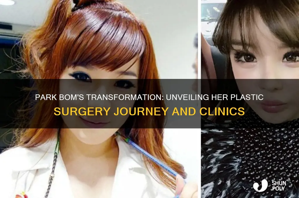 where did park bom get her plastic surgery
