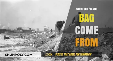 The Surprising Origins of the Plastic Bag: A Historical Journey