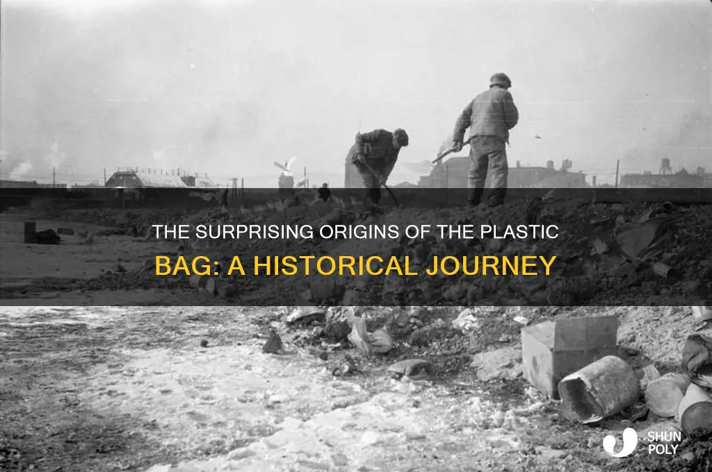 where did plastic bag come from