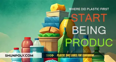 The Birthplace of Plastic: A Historical Perspective