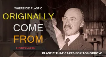 The Evolution of Plastic: Origins and History