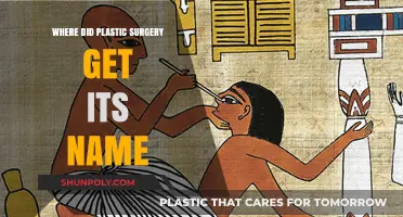 The Surprising Origins of Plastic Surgery's Name Revealed