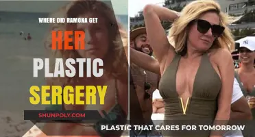 Ramona's Plastic Surgery Transformation: Uncovering Her Beauty Journey
