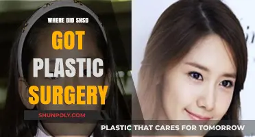 SNSD's Transformation Journey: Unveiling Their Plastic Surgery Secrets