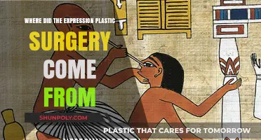 Unveiling the Surprising Origins of the Term 'Plastic Surgery