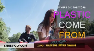 The Evolution of the Word "Plastic": A Historical Perspective