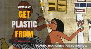 The Surprising Origins of Plastic: A Historical Journey