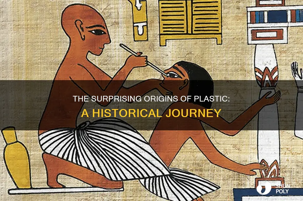 where did we get plastic from