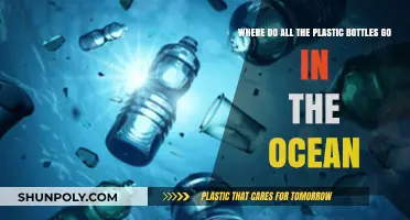 Ocean's Plastic Bottle Mystery: Tracing Their Journey and Impact