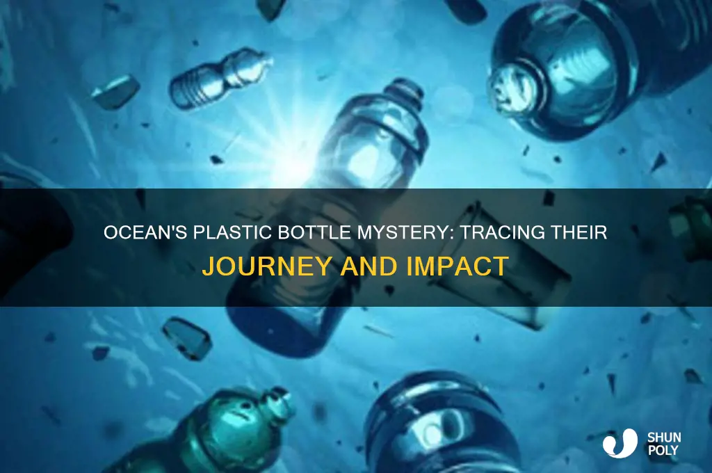 where do all the plastic bottles go in the ocean