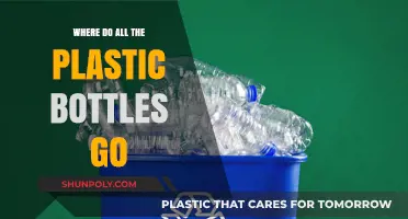The Journey of Plastic Bottles: From Trash to Transformation