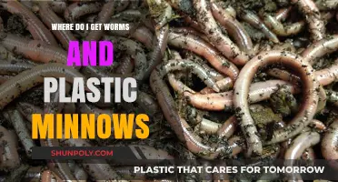 Best Bait Sources: Where to Find Worms and Plastic Minnows Easily
