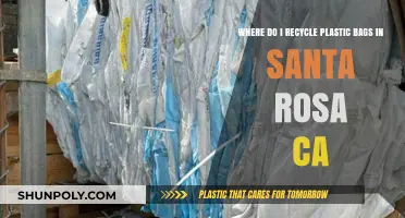 Santa Rosa Plastic Bag Recycling: Where to Recycle Responsibly