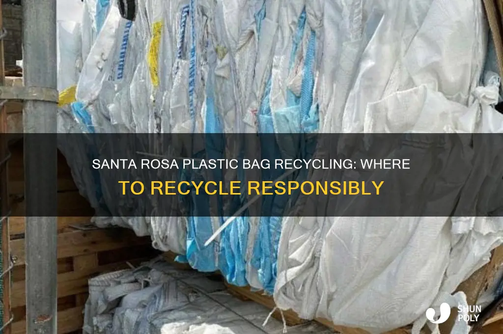 where do i recycle plastic bags in santa rosa ca