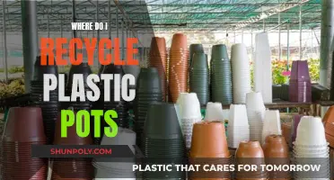 Recycling Plastic Pots: Where and How to Start