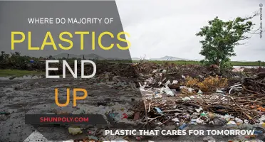 Plastic's Final Destination: Where Do They Go?