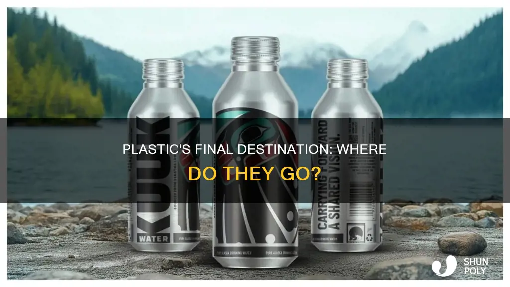 where do majority of plastics end up