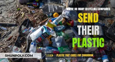 The Dark Truth About Plastic Recycling