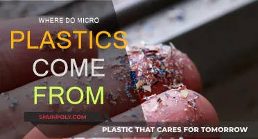 Microplastics: The Unseen Pollution Crisis