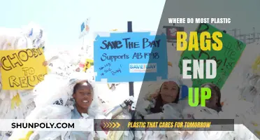 The Final Destination of Plastic Bags: Landfills, Oceans, or Recycling?