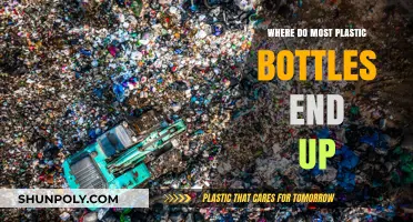 The Shocking Journey: Where Do Most Plastic Bottles End Up?