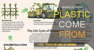 Plastic Origins: Fossil Fuels and Synthetic Creation