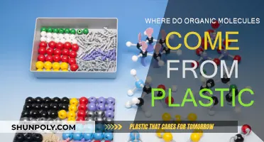 The Evolution of Organic Molecules in Plastic