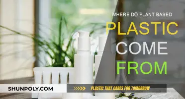The Evolution of Plant-Based Plastics