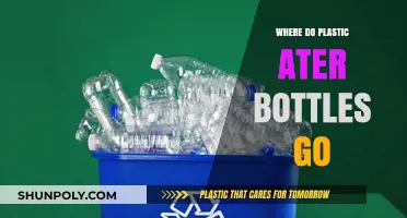 The Journey of Plastic Water Bottles: From Use to Disposal