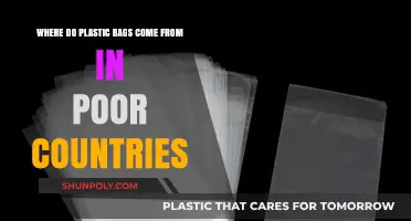 Tracing the Origins of Plastic Bags in Impoverished Nations