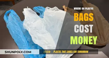 Where Do Plastic Bags Cost Money? Global Policies Explained
