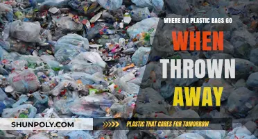 The Disappearing Act: Where Do Plastic Bags Go After Disposal?