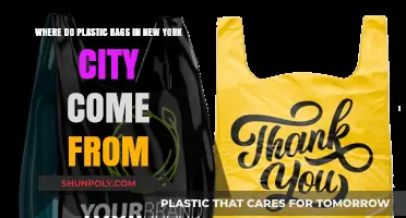 Tracing the Origins of NYC's Plastic Bags: A Supply Chain Journey