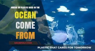 Tracing the Journey: How Plastic Bags End Up in Our Oceans